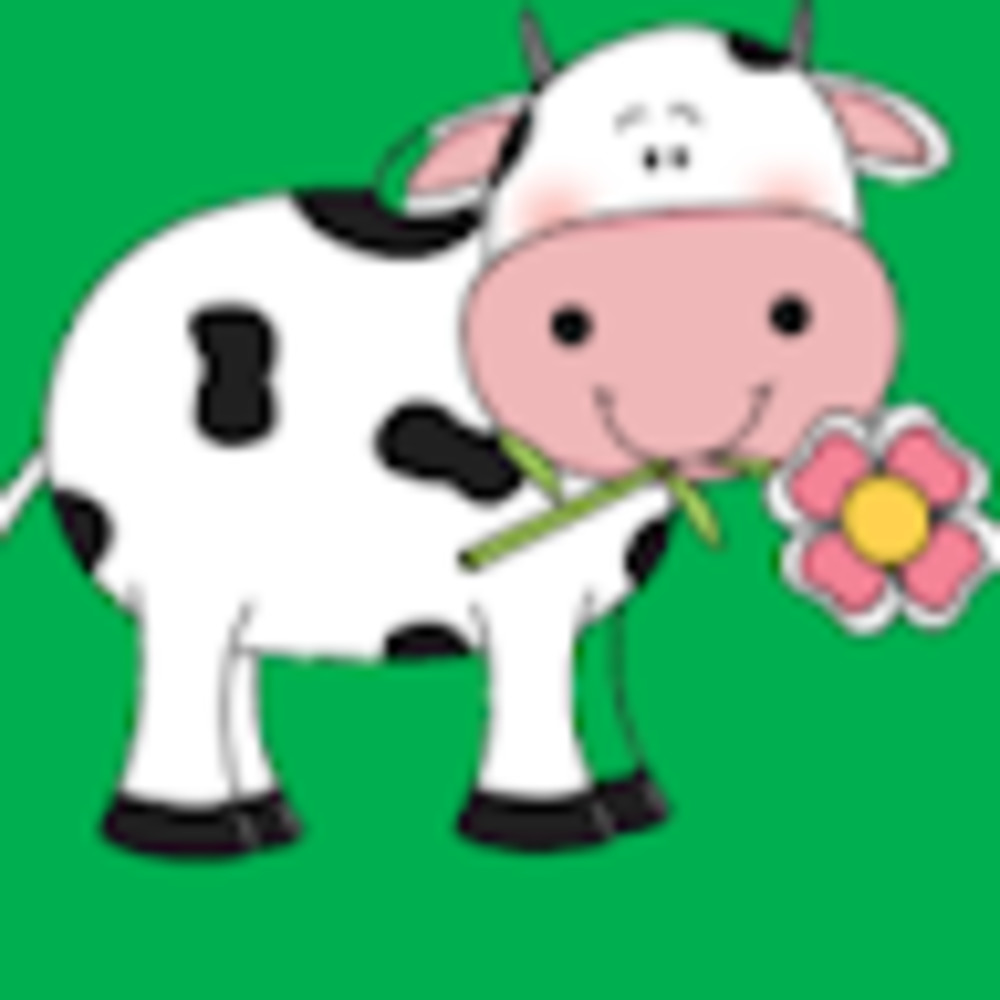 Meet your Posher, Ann